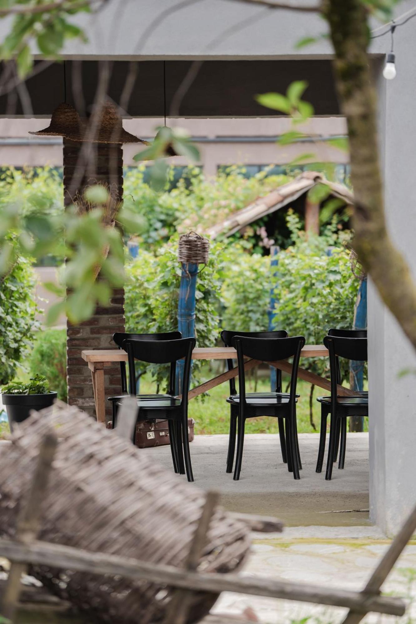 Napareuli Vineyard Hotel & Winery מראה חיצוני תמונה