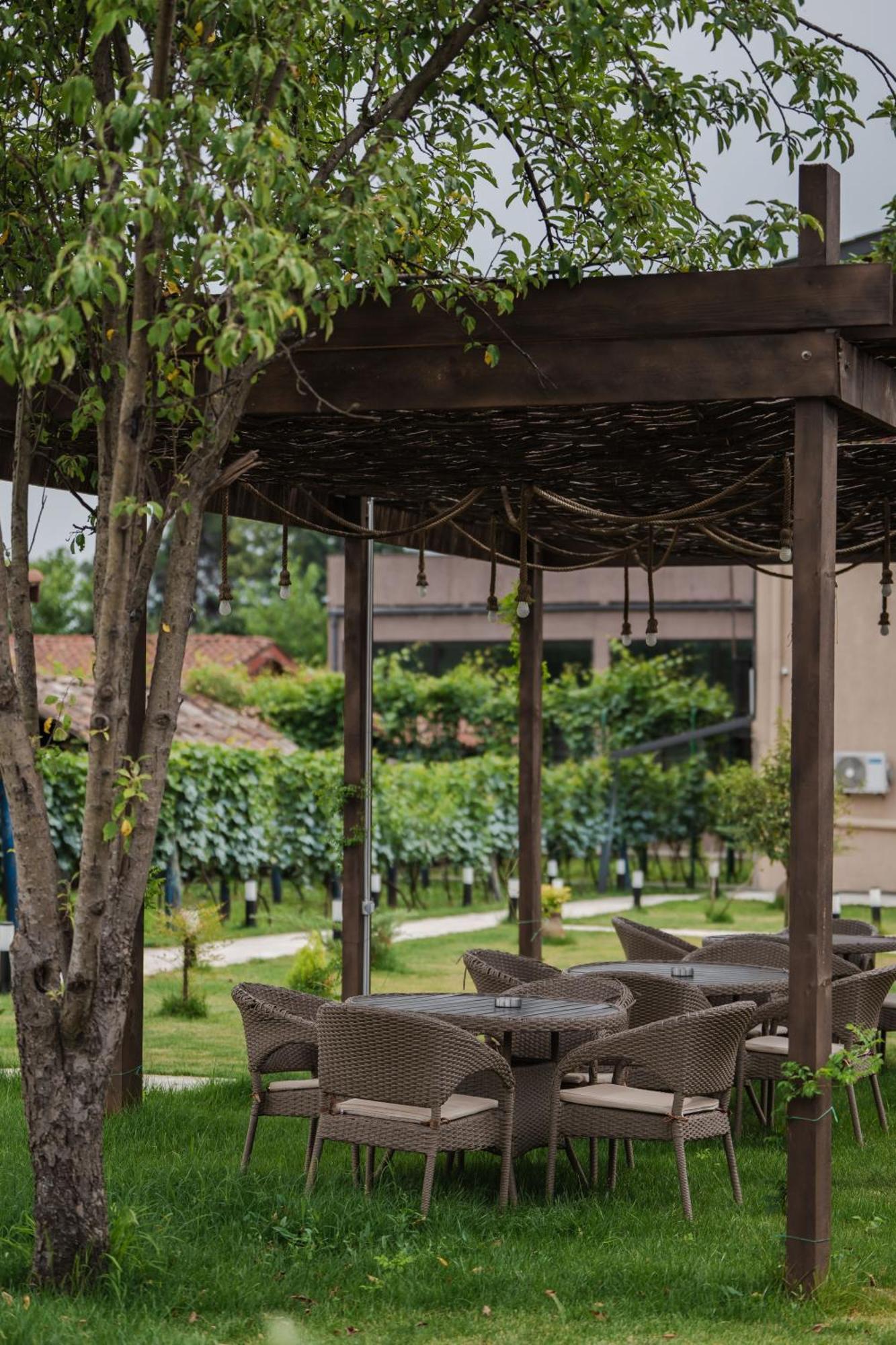 Napareuli Vineyard Hotel & Winery מראה חיצוני תמונה