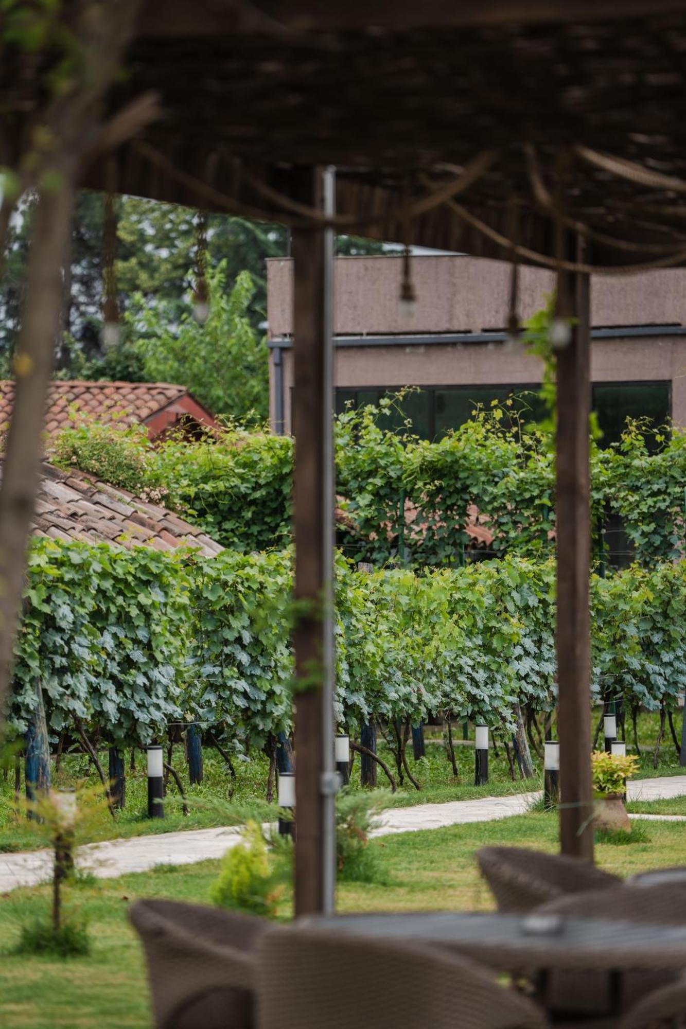 Napareuli Vineyard Hotel & Winery מראה חיצוני תמונה